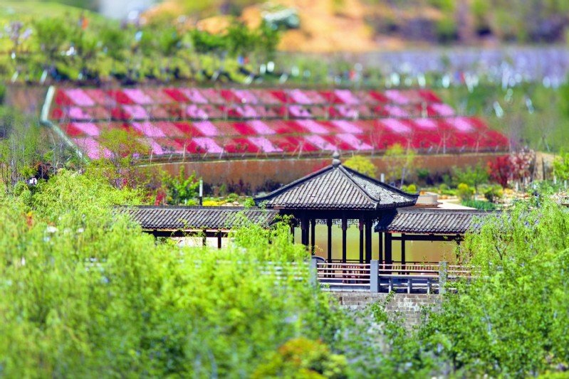 0571-58619115 同题参见