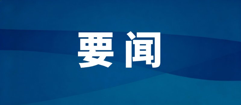 就业咨询